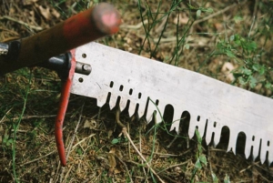 hand saw used in a Forest Games challenge