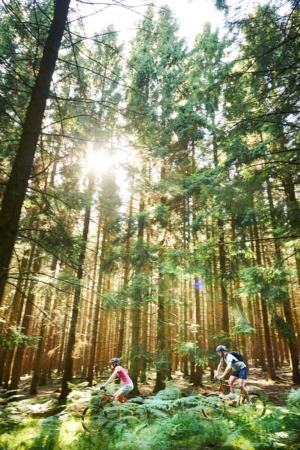 participants faisant du velo en foret pour Ride Discovery