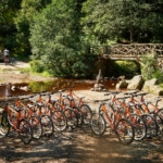 woman on bike during Ride Discovery