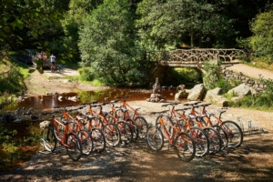 woman on bike during Ride Discovery