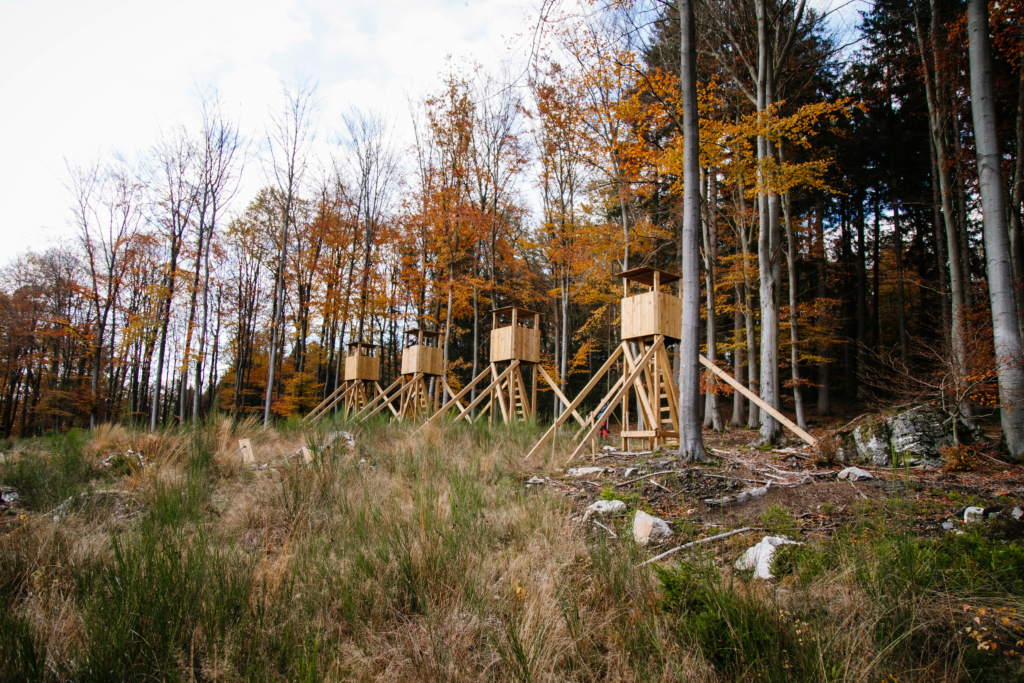 participants shooting rifles at the top of pirches during the Forest Games