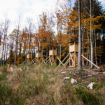 participants shooting rifles at the top of pirches during the Forest Games