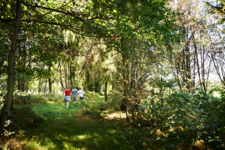 groupe dans la foret lors d’un parcours aérien