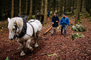 participant guidant un cheval avec l’aide du débardeur des Forest Games