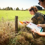 orientation during trail