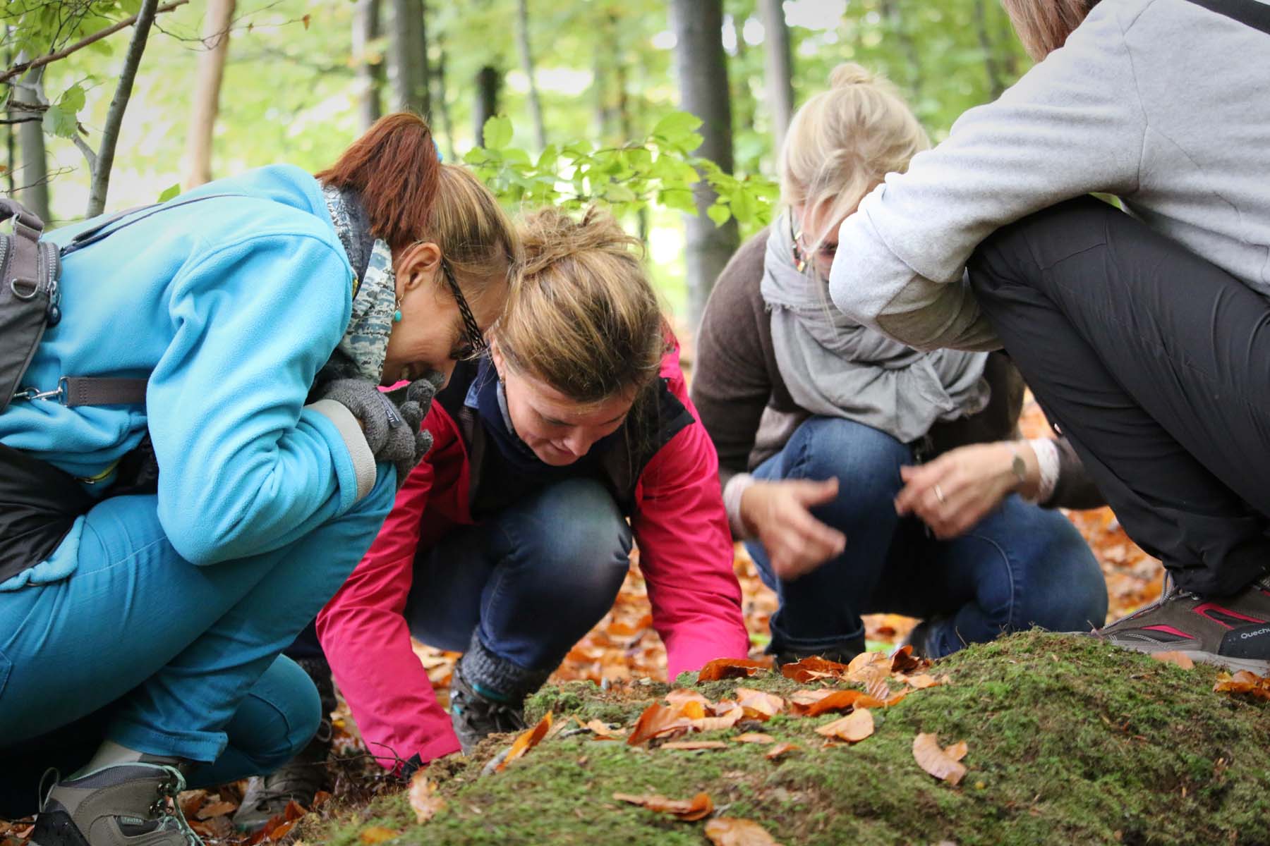 group measuring teambooster