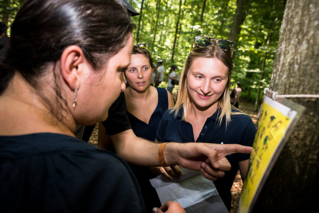 use of a GPS to find hidden photos during the Castle Investigation