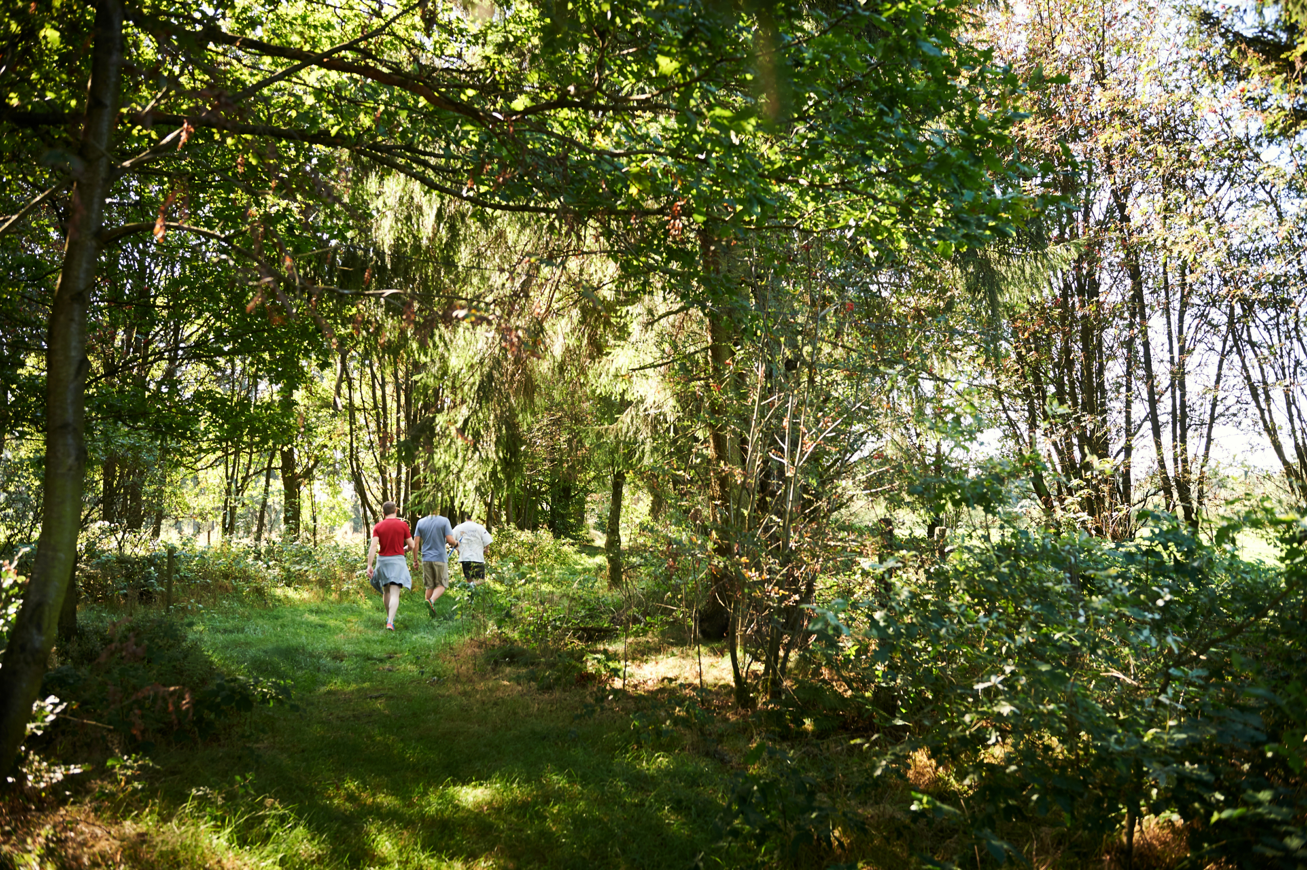 team walking in the woods during a pathfinder