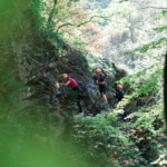 aerial course in nature