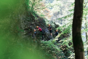 aerial course in nature