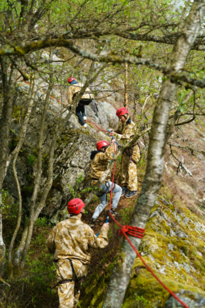 participants grimpant en suivant le parcours sur corde lors du Step out of your comfort zone