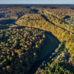 Countryside-tero-foresthouse-martue