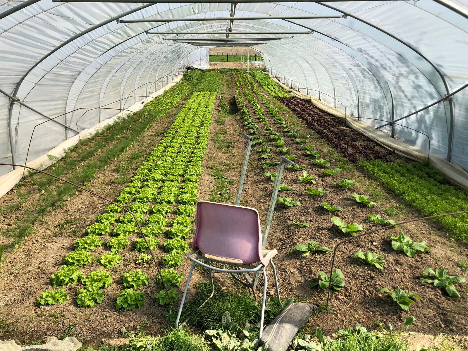 garden ferme des Rabanisse