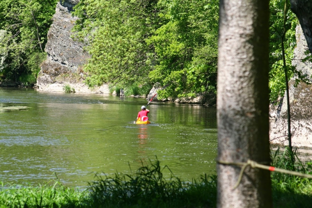 kayak tero forest house Martue